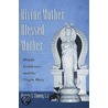 Divine Mother, Blessed Mother door Francis X. Clooney