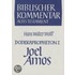 Dodekapropheton 2. Joel. Amos