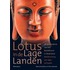 Lotus in de lage landen