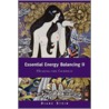 Essential Energy Balancing Ii door Diane Stein