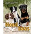 Hond zoekt baas