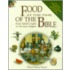 Food at the Time of the Bible