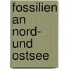 Fossilien an Nord- und Ostsee by F. Rudolph