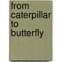 From Caterpillar To Butterfly