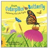 From Caterpillar to Butterfly by Suzanne Slade