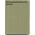 Frühneuhochdeutsches Glossar