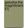 Galusha the Magnificient £!] door Joseph Crosby Lincoln