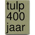 Tulp 400 jaar
