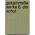 Gesammelte Werke 6. Der Schut
