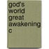 God's World Great Awakening C