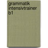 Grammatik Intensivtrainer  B1 by Unknown