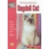 Guide To Owning A Ragdoll Cat