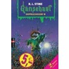 Gänsehaut. Doppelschocker 18 door R.L. Stine