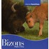 Bizons