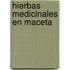 Hierbas Medicinales En Maceta