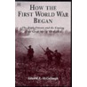 How The First World War Began by Edward E. McCullough