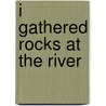 I Gathered Rocks at the River door Price Diaz Angela