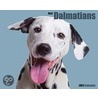 Just Dalmatians 2011 Calendar by Unknown