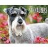 Just Schnauzers 2011 Calendar door Onbekend