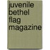 Juvenile Bethel Flag Magazine