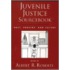 Juvenile Justice Sourcebook C