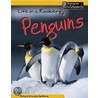 Life In A Rookery Of Penguins by Richard Spilsbury