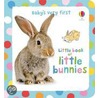 Little Book Of Little Bunnies by Antonia Miller