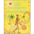Little Book Of The Human Body