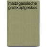 Madagassische Großkopfgeckos by Patrick Schönecker