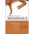 Mammals Of Britain And Europe