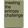Meeting The Entropy Challenge by Unknown