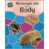 Microscopic Life In Your Body