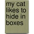 My Cat Likes To Hide In Boxes