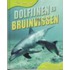 Dolfijnen en bruinvissen