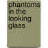 Phantoms In The Looking Glass