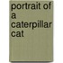 Portrait Of A Caterpillar Cat