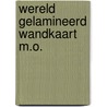 Wereld gelamineerd wandkaart M.O. door Balk