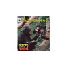 Chimpansees