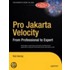 Professional Jakarta Velocity