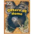 Proj X:my Home Otters At Home