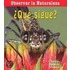 Que Sigue? = What Comes Next?