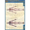 Quickstudy Circulatory System door Onbekend