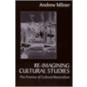 Re-Imagining Cultural Studies door Andrew Milner