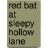 Red Bat at Sleepy Hollow Lane