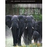 Leven in een kudde olifanten by Richard Spilsbury