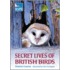 Secret Lives Of British Birds