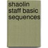 Shaolin Staff Basic Sequences