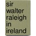 Sir Walter Raleigh in Ireland