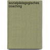 Sozialpädagogisches Coaching door Bernd R. Birgmeier