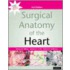Surgical Anatomy Of The Heart